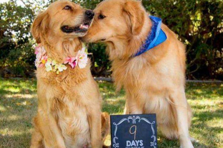 准备好迎接了吗英文翻译,准备好迎接除夕了吗