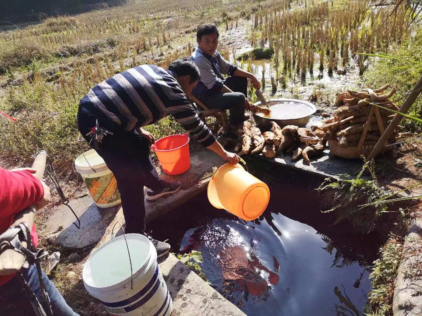 用爱浇灌花朵用心呵护成长,用爱浇灌你成长