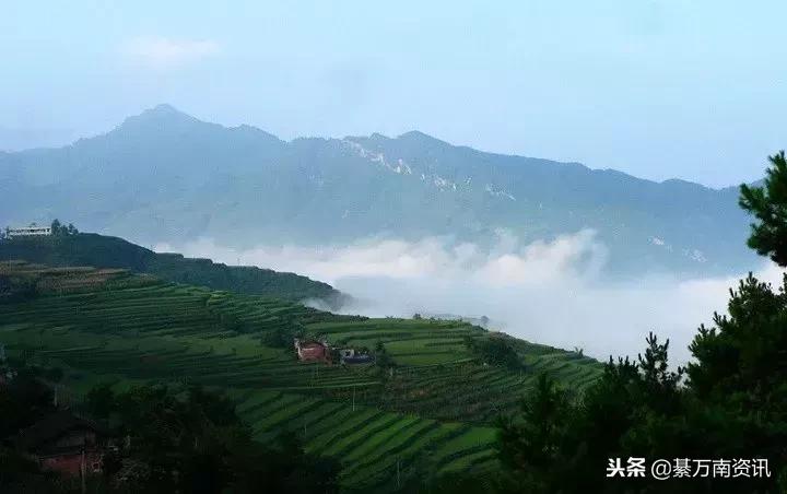 万盛电话号码大全,万盛最新电话