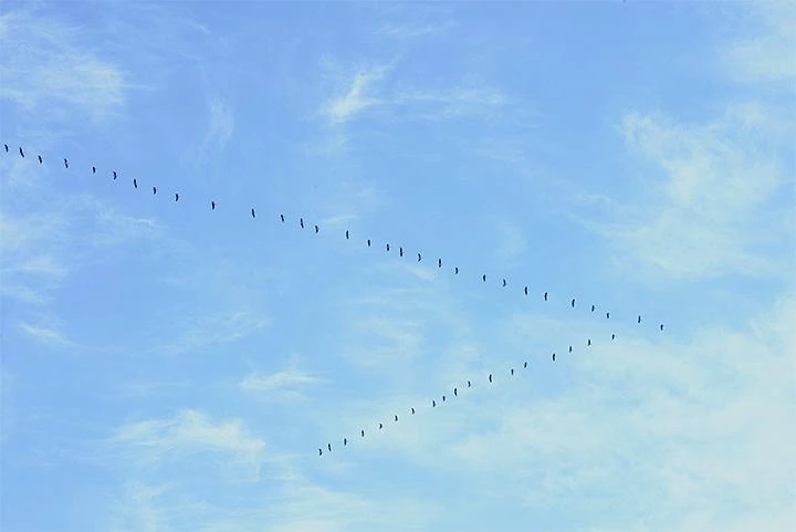 断过的绳子怎么系都有结,绳子断了有个结怎么办