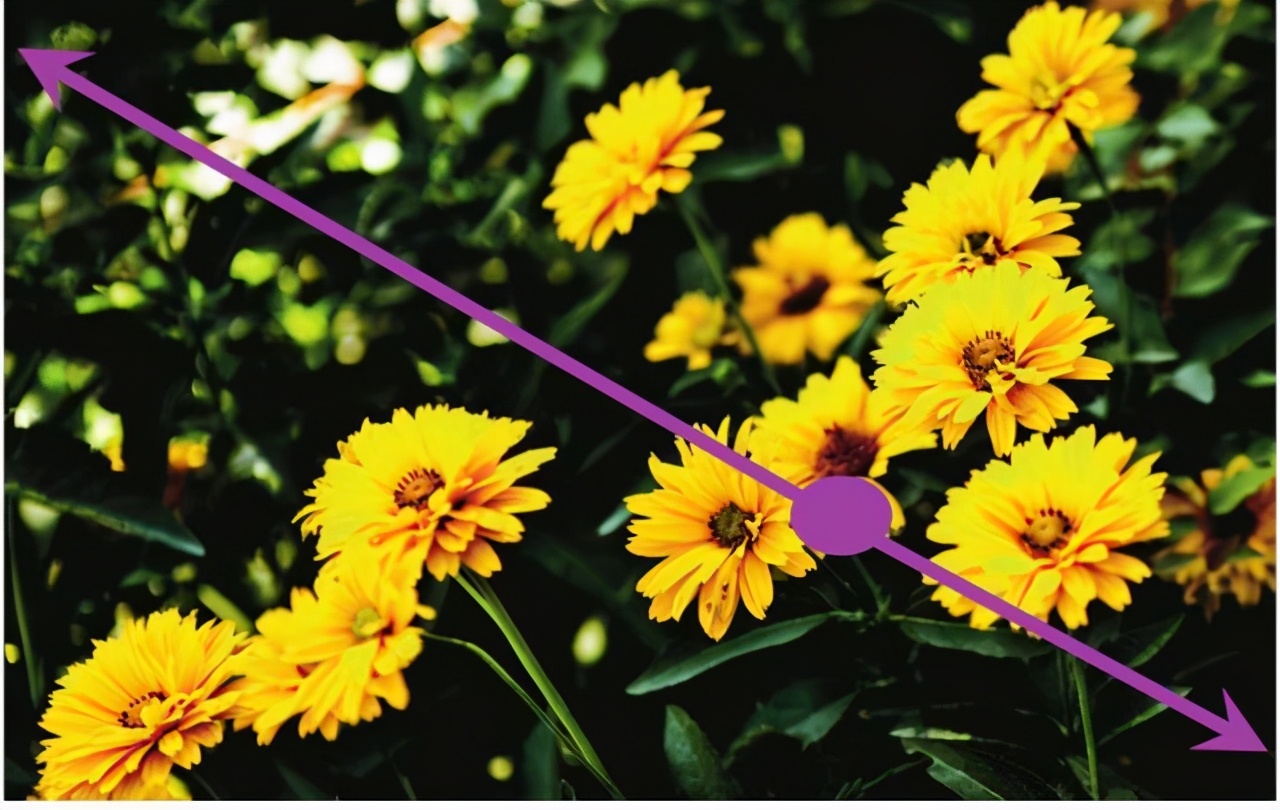 光圈景深物距景深,摄影中决定景深大小