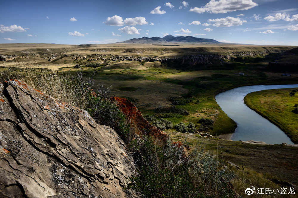 长得跟其他恐龙不一样的恐龙,恐龙化石奇怪的动物