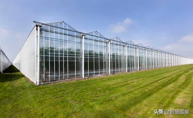 盘点温室大棚的优缺点，看看哪个类型适合你