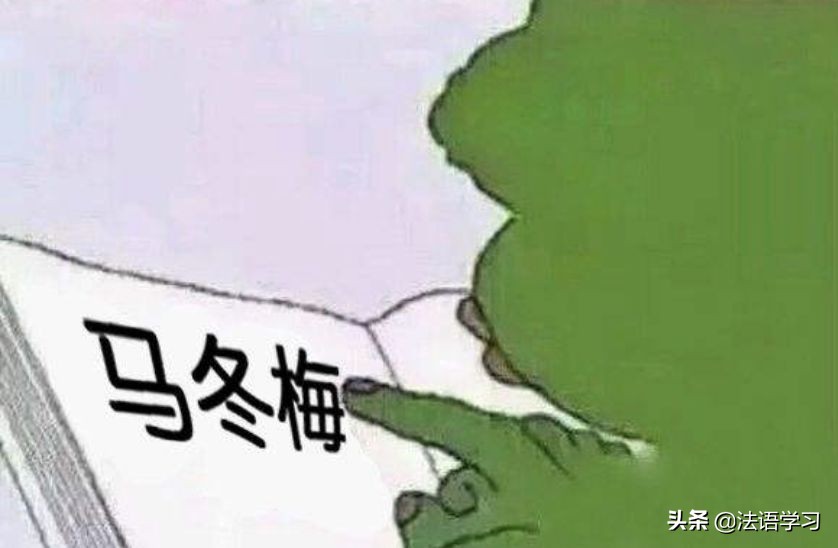 你有哪些相见恨晚的教辅资料,你有哪些相见恨晚的教辅书