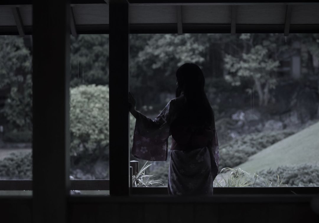 航司特惠机票日,航司直销机票