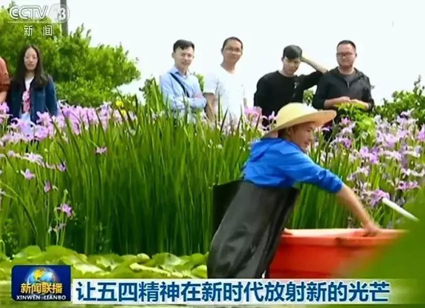 三峡大学的综合实力在全国排名,三峡大学有院士吗