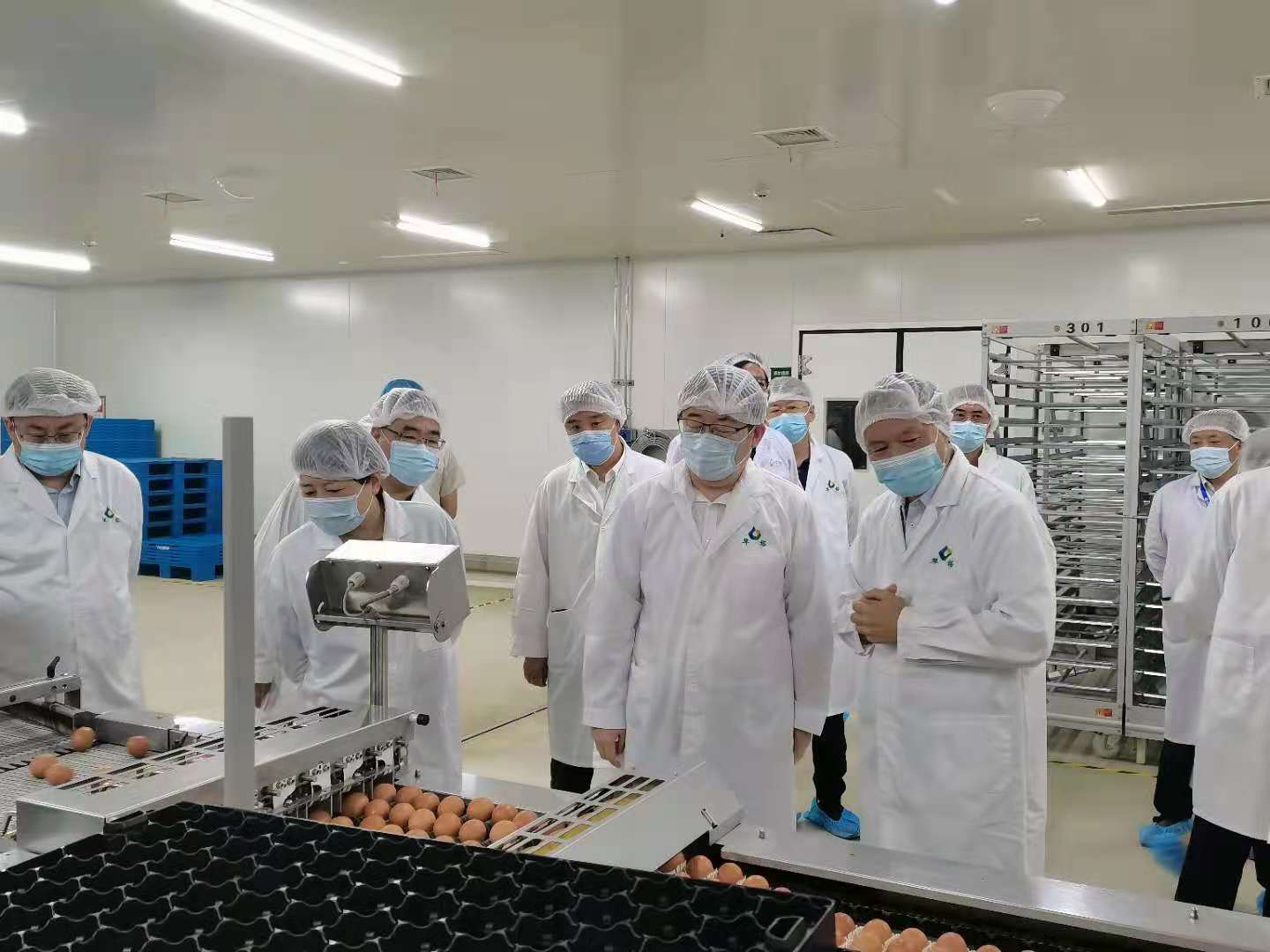 省商务厅厅长张锋一行来邯调研商务工作