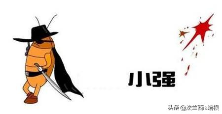 一代比一代强的家庭,蟑螂喜不喜欢吃糖