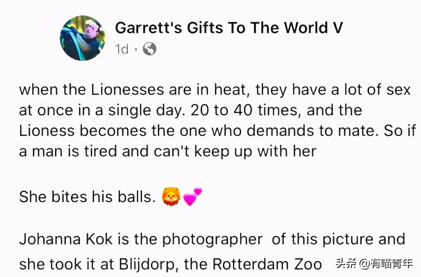 猫咪在啪啪啪的时候,究竟爽不爽?