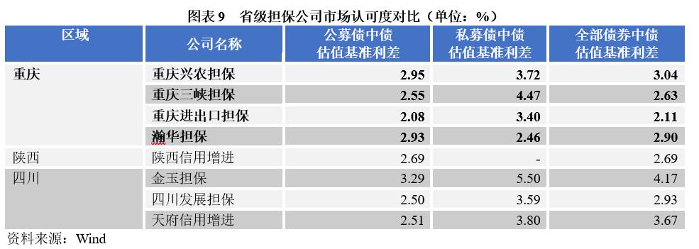 重庆渝中区担保公司,重庆担保行业监管