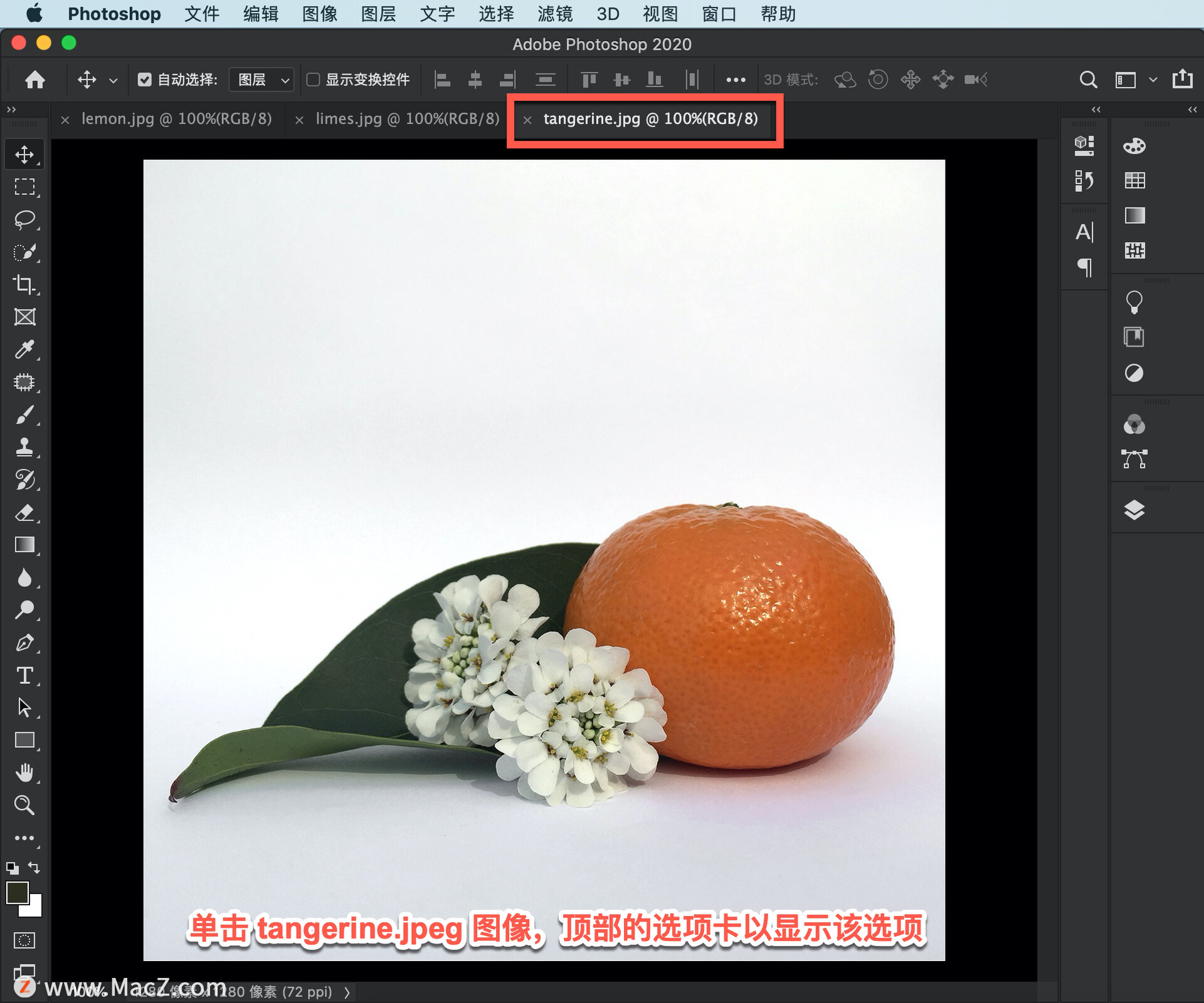ps基础教程新手入门照片修图改字,ps新手快速入门人像精修技巧