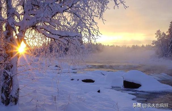 2020年冬至过后会是冷冬还是暖冬,今年冬至比较冷还是大小寒比较冷