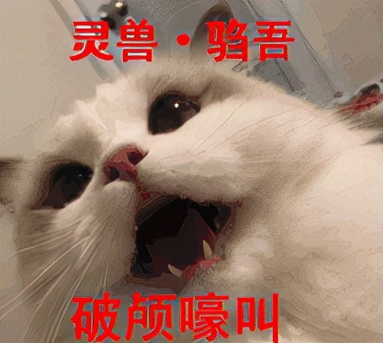 西山居YYDS？剑三中那些穿上就不会脱的校服，晓天琴娘直接封神