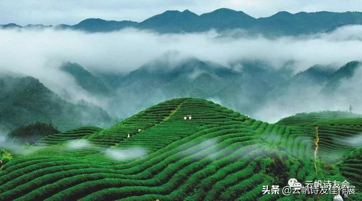 「名家诊诗」高朝先：实例点评话改诗（下）