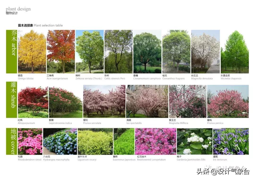 id快速排版技巧,id方案设计排版