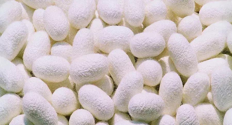 史上最全常用纺织原料,常见纺织原料