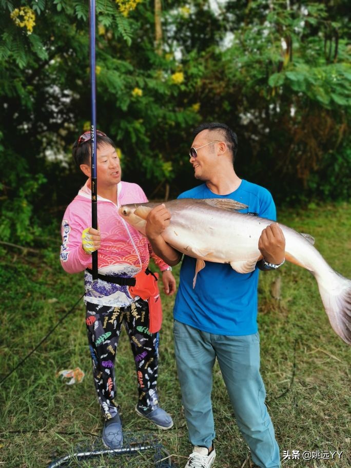 四海钓鱼韩国钓鱼纪录片,四海钓鱼南澳岛