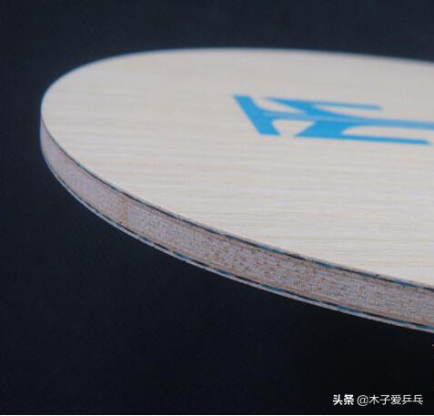 蝴蝶viscaria和波尔alc底板，相似的结构它们之间到底有多少差异