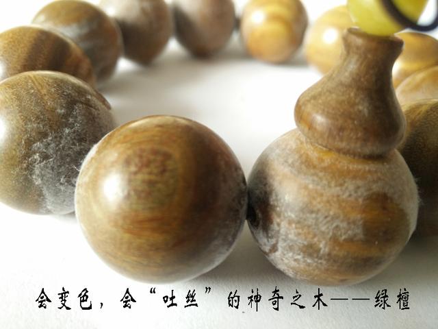 愈创木的缺点,愈创木什么价