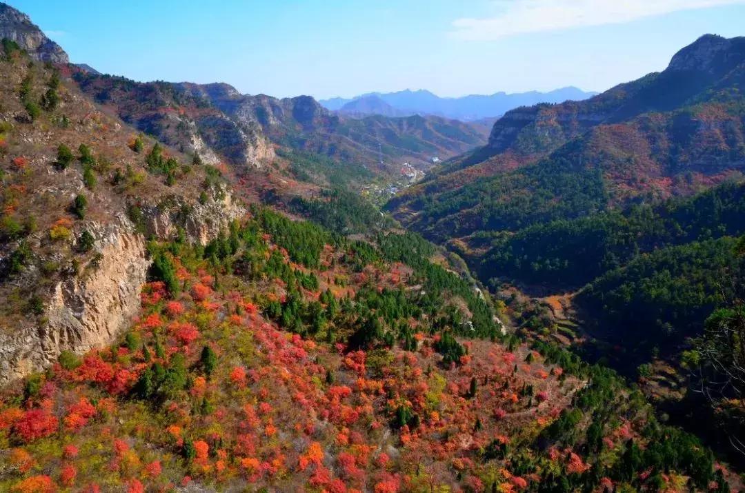 石家庄草莓采摘基地推荐,石家庄周边采摘园摘草莓