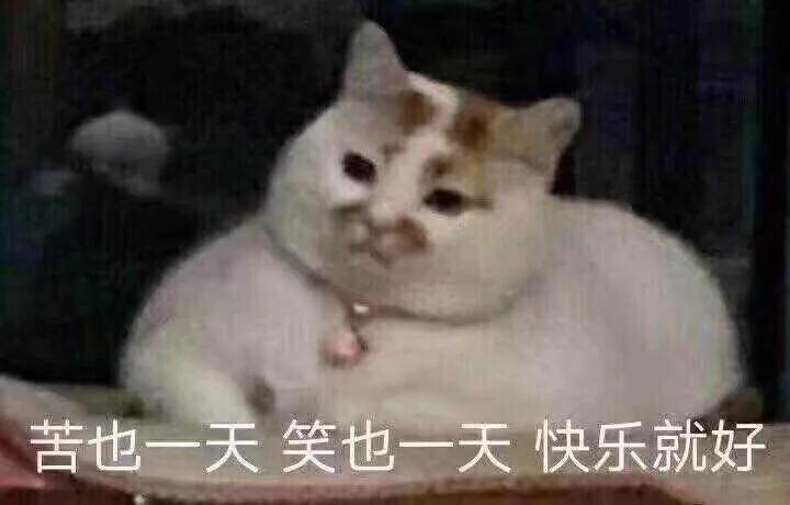 你在干嘛快来陪我打游戏表情包,那你想干嘛我只想打游戏表情包