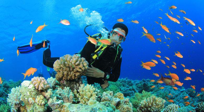 一分钟带你了解海洋深处,一分钟带你了解氢水