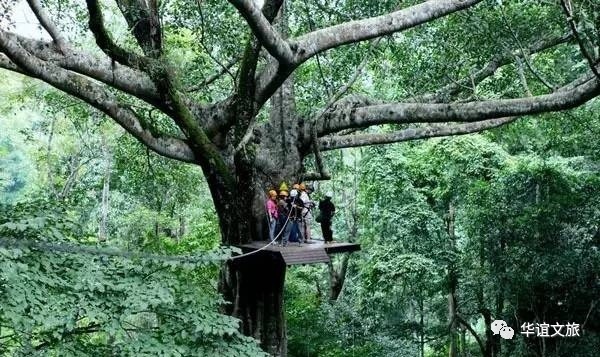 去清迈实用攻略大总结,去清迈旅游的注意事项