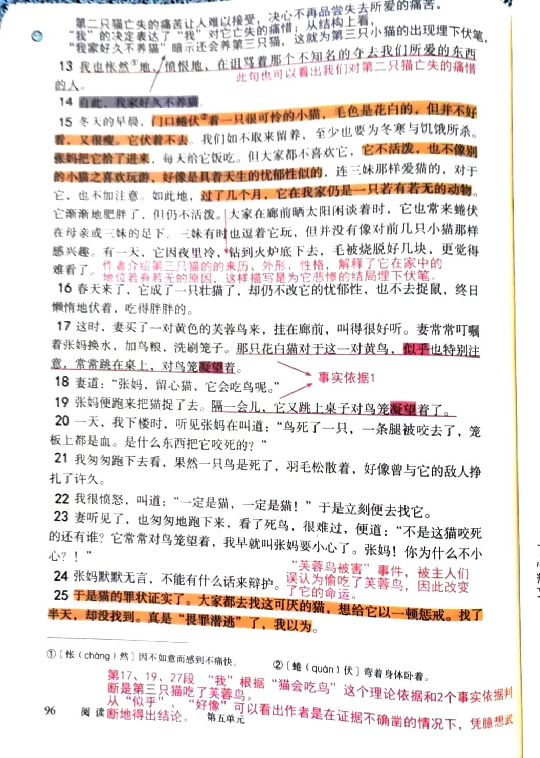 七上猫预习笔记,语文七年级上册人教版16课猫笔记