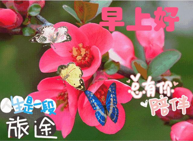 最新版早安祝福图片及问候语,早安问候祝福语漂亮图片