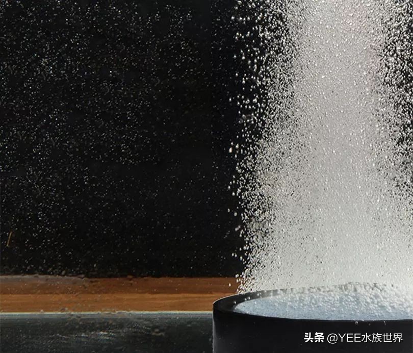 氧气泵噪音大如何消除,氧气泵如何隔音防止噪音