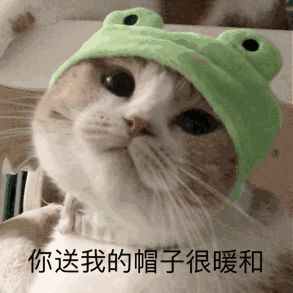 法国交友软件,前两年很火的跨国交友软件