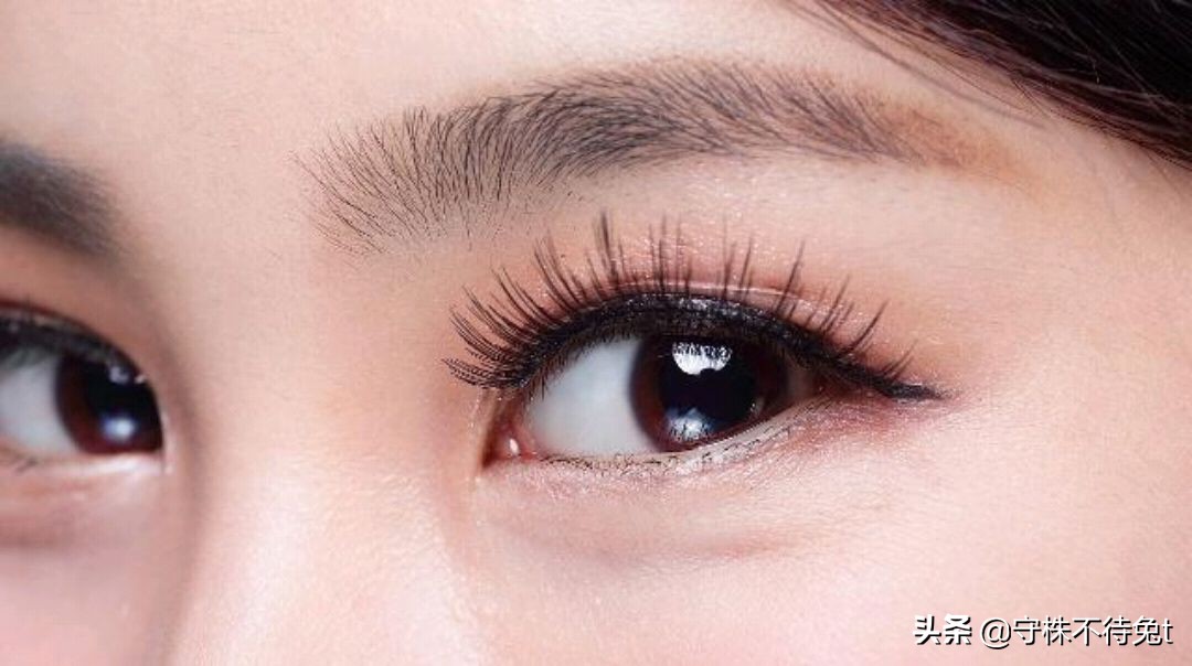 10个冷知识全集,睡觉时膝盖下垫枕头怎么回事