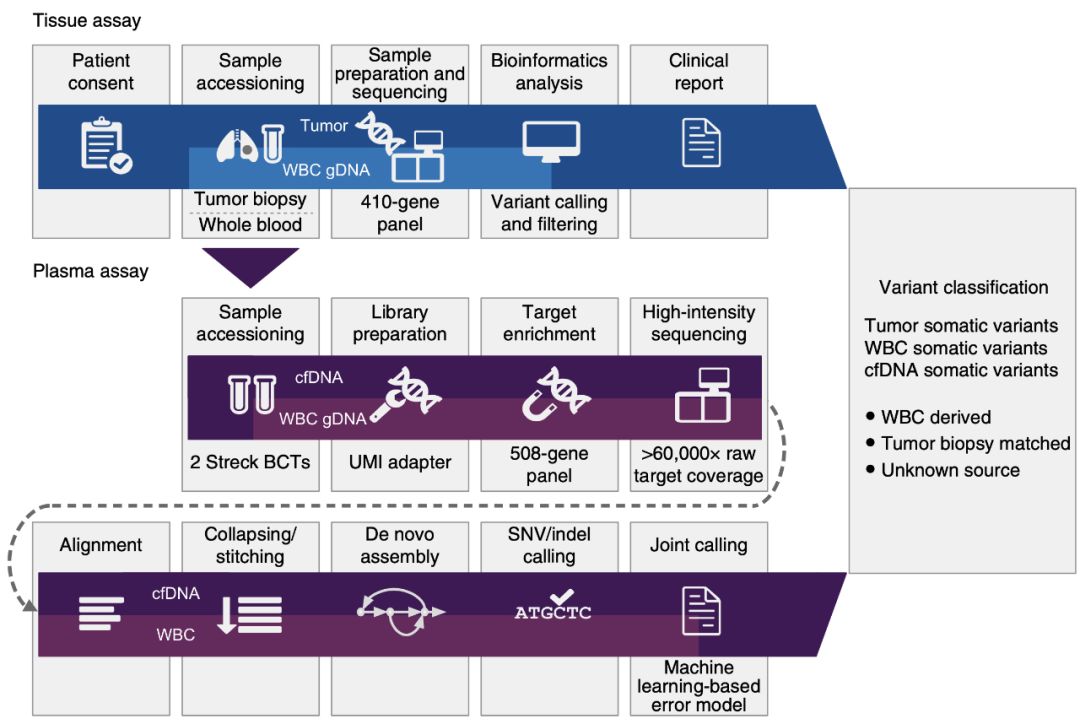 液体活检检测到的很多突变或不来自癌细胞，而是血液中的白细胞