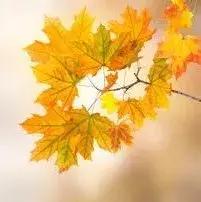 怀孕一个多月老是流血什么情况,怀孕三个月老是出血怎么办