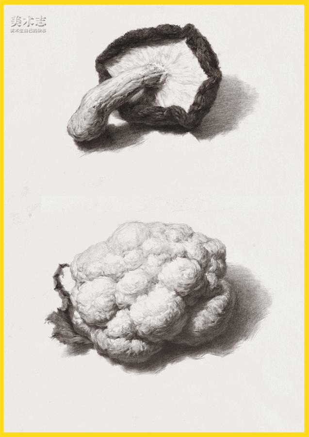 素描常见水果,适合新手的100幅素描画蔬菜水果