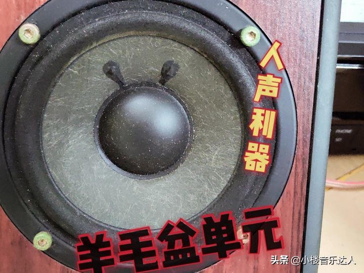 品牌精品音箱,国货音响推荐