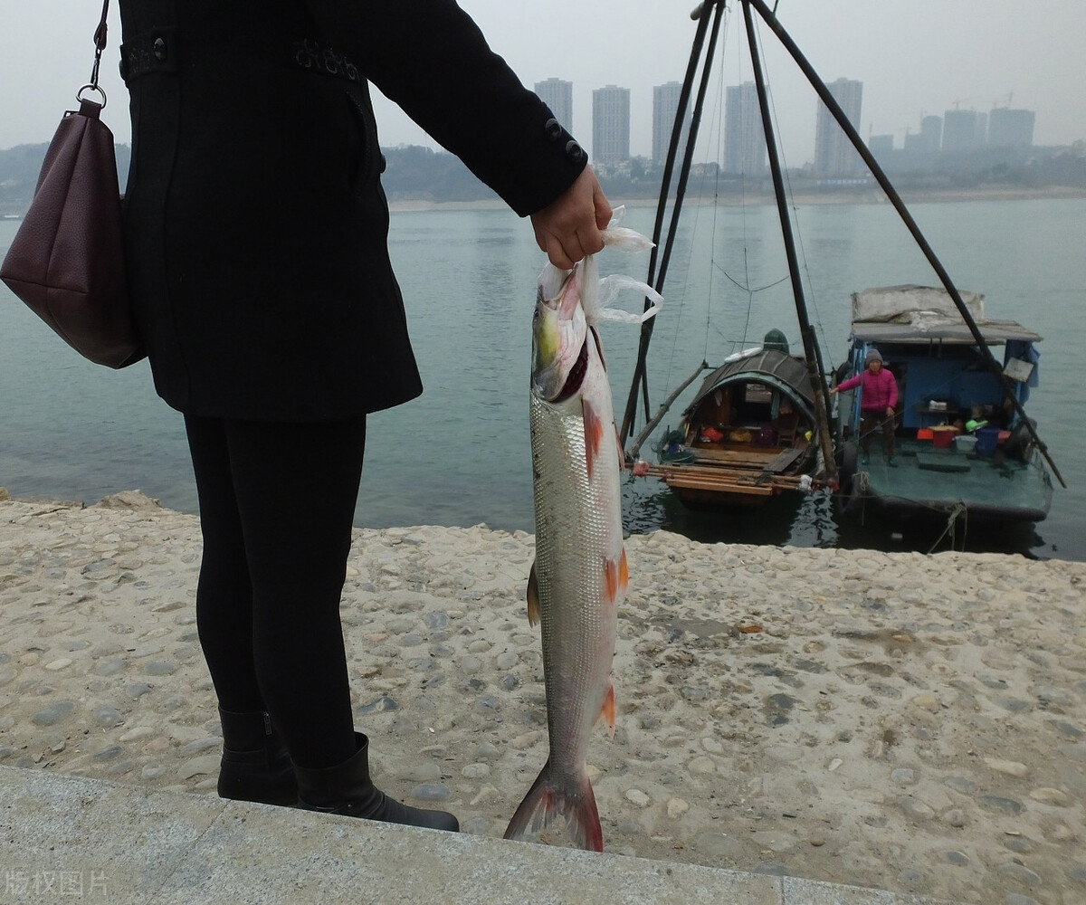 丹江口水库会减少长江水量吗,丹江口水库是亚洲第一大水库吗