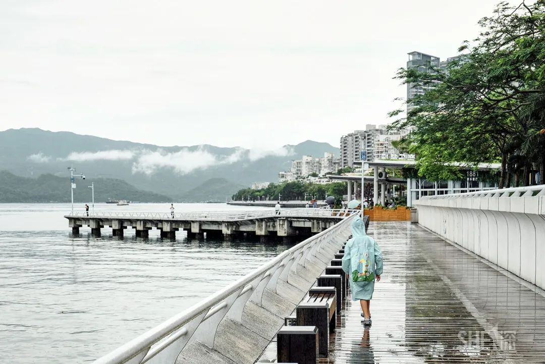 深圳30个经典片区,深圳这座城市承载了太多回忆