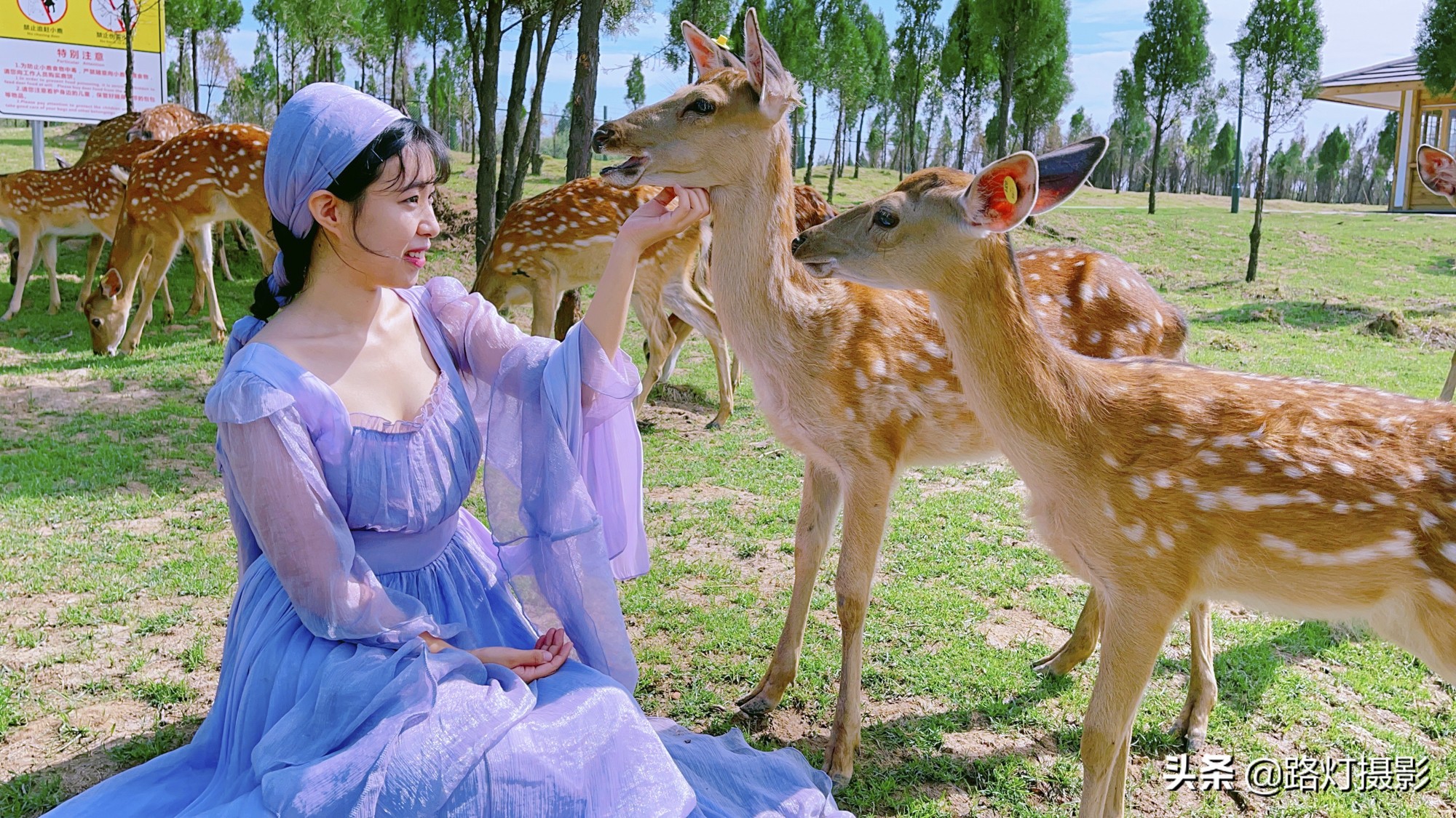 国内七大避暑圣地享受18度的夏天,中国六个超凉快的避暑胜地