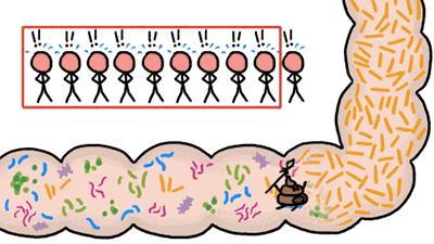 奥利司他排出油但不瘦,奥利司他胶囊怎么排出脂肪