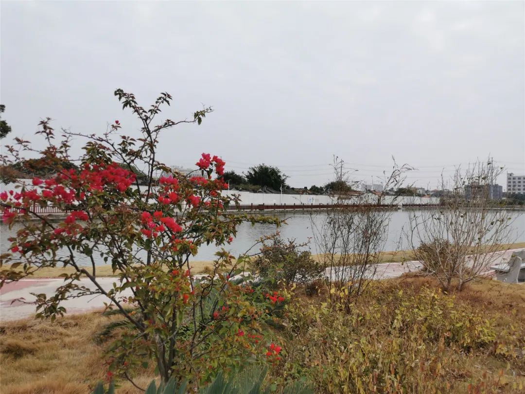 原平乡村振兴督导组,乡村振兴局开展乡村振兴工作督导