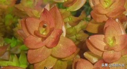 一入酒坑深似海从此钱财是路人,一入茅坑深似海下一句