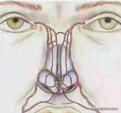 鼻整形手术风险,鼻整形副作用