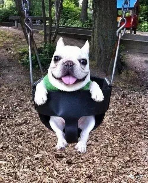 零基础学画画教程入门视频,零基础学画画教程大全