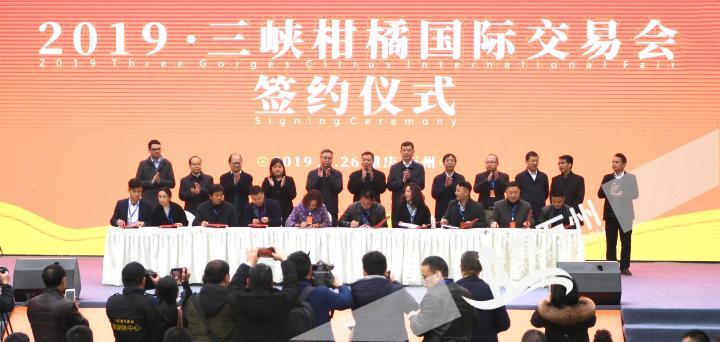 三峡柑橘展馆交易会,三峡柑橘国际交易会快报