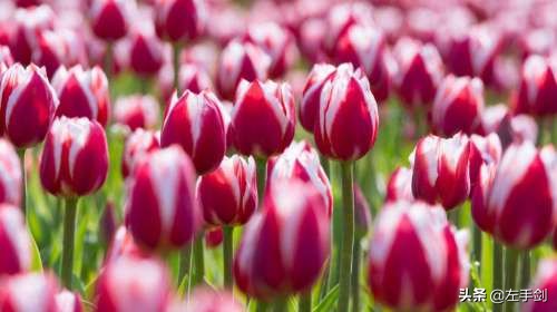 苏州上方山森林公园作文,苏州上方山国家森林公园电话