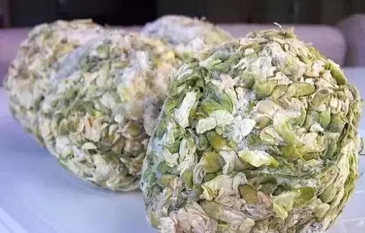 吃槐花注意事项,开始吃槐花了会怎样