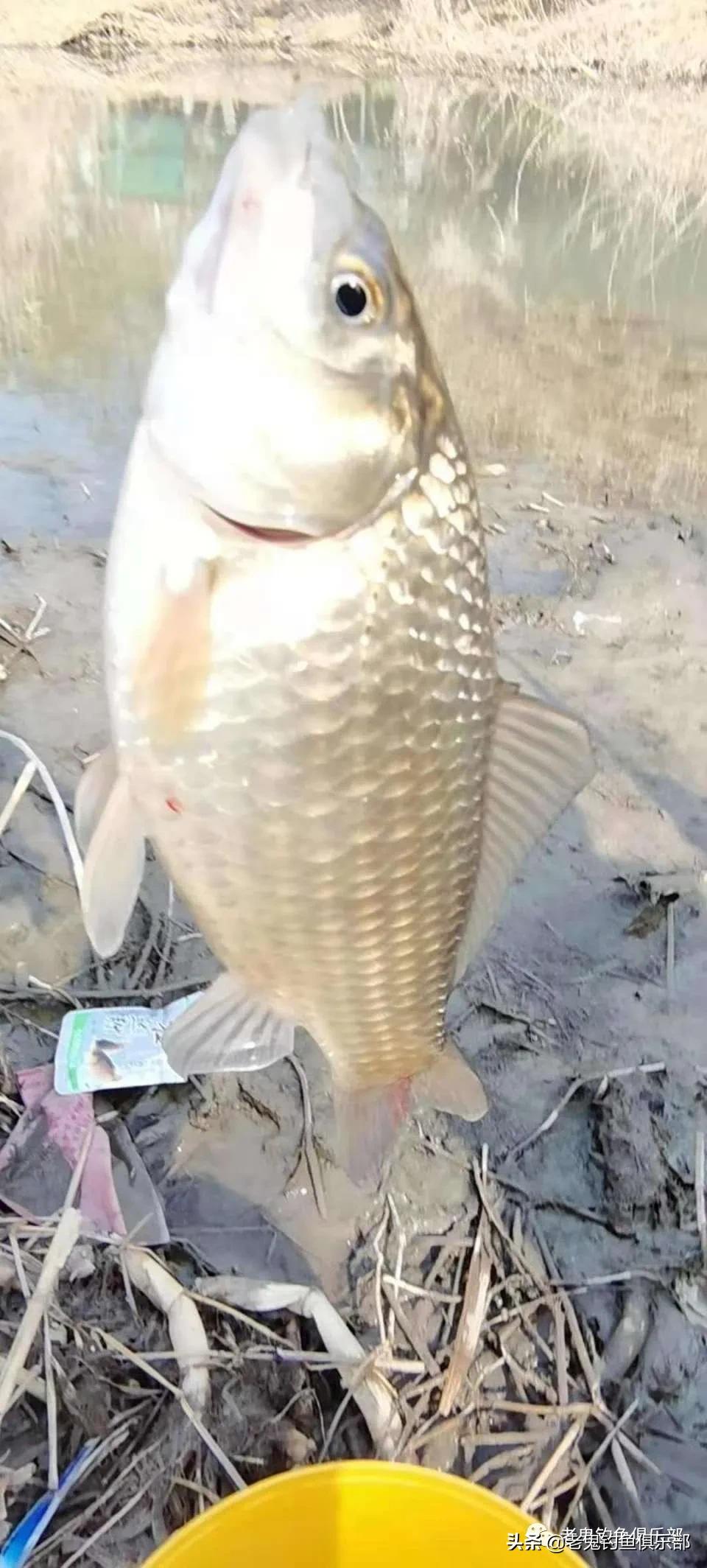 济南天气多变,济南天气变化