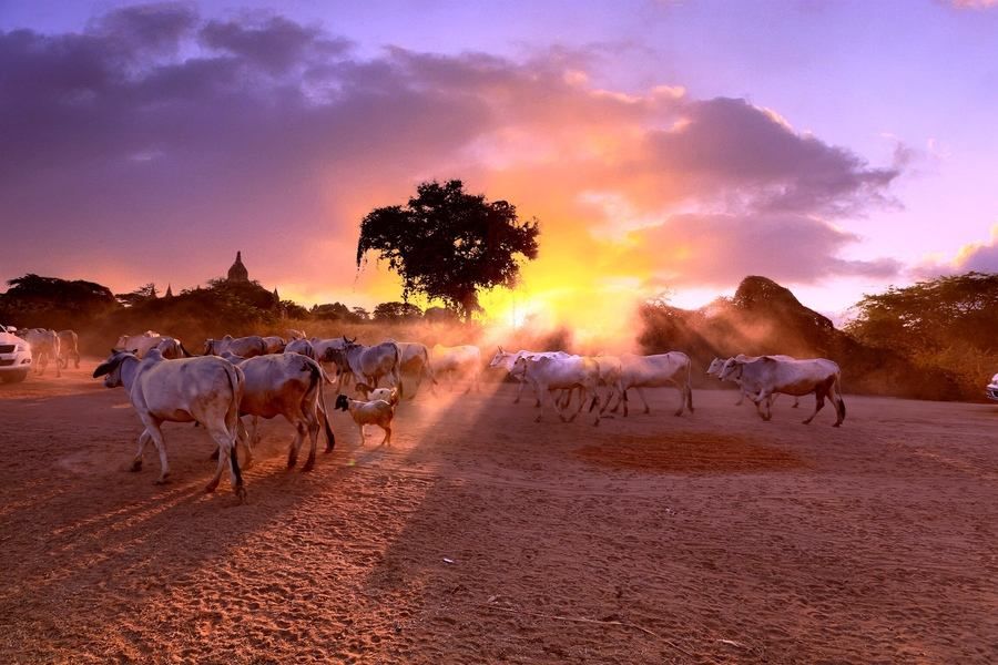 入缅甸可以带多少钱,去缅甸旅游最多能带多少钱