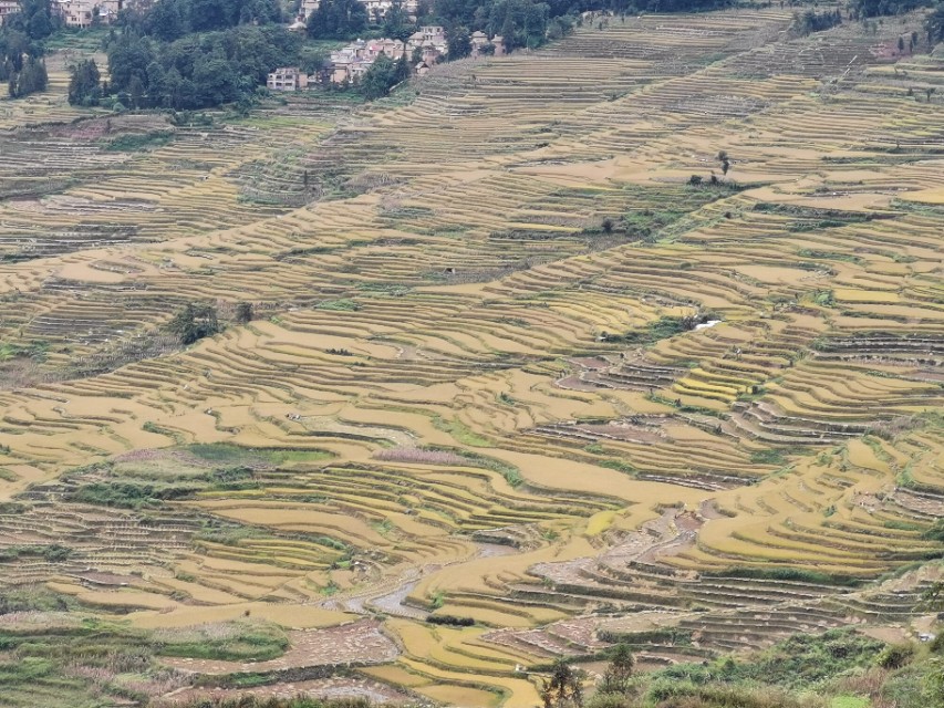越南老街离河口多远,越南老街看河口夜景